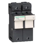 фото РАЗЪЕДИНИТЕЛЬ-ПРЕДОХРАНИТЕЛЬ 125A.2P.22Х58 Schneider Electric DF222