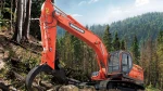 фото Перегружатель леса DOOSAN DX225LL