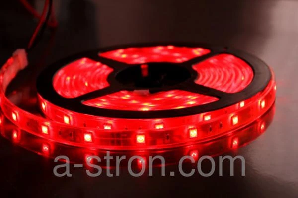 Фото Светодиодная лента LS 35R-60/33 60LED 4.8Вт/м 12В IP33 красная