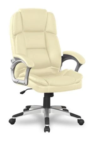 Фото Кресло REALCHAIR COLLEGE BX-3323/Beige