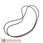 фото Пассик Drive belt medium