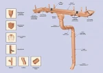 фото Водосточные системы пластиковые и металлические