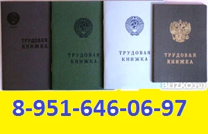 Фото Трудовая книжка серии ТК