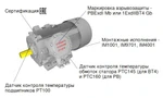 фото Взрывозащищенный электродвигатель 2АИМУР (ТМ Орлан)