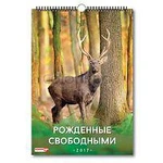 Фото №4 Календарь настенный А3 на ригеле 2017