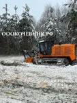 Фото №4 Cпил деревьев и кустaрников, мульчированиe, выкоpчевка пнeй