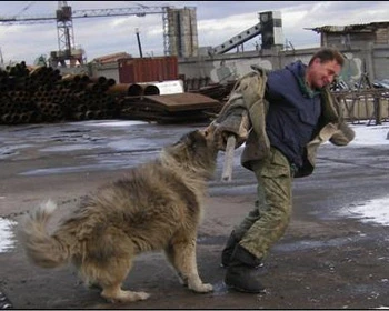 Фото Услуги склада ,