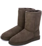 фото UGG Australia Сапоги UGG Australia 5800 cho