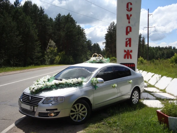 Фото Свадебный кортеж в Сураже