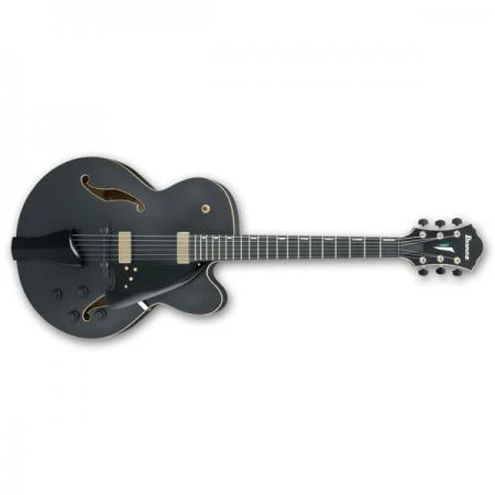 Фото Гитара полуакустическая Ibanez AFC125-BKF Archtop