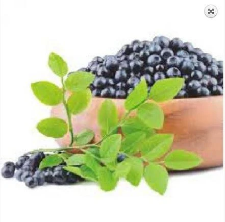 Фото Aronia berry extract – профилактика купероза