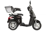 фото Электротрицикл Trike New 1000w