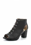 фото Dorothy Perkins Dorothy Perkins DO005AWHYR15