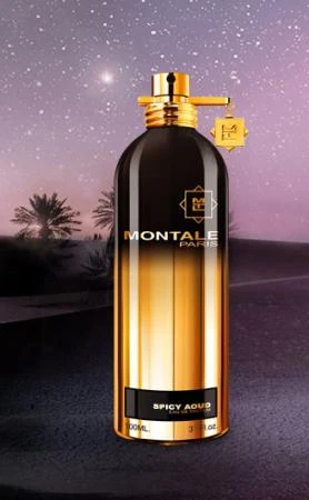 Фото Montale Spicy Aoud Montale Spicy Aoud 20 ml