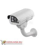 фото EverFocus ACE-PAV50X: IP-камера уличная