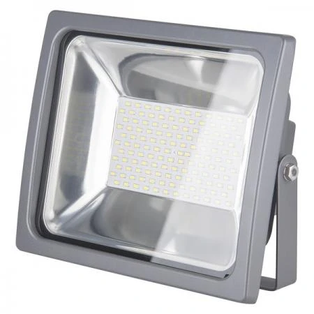 Фото Прожектор светодиодный 001 FL LED 100W; a034651 ELEKTROSTANDARD