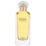 фото Hermes Caleche EDT 100мл Тестер