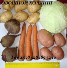 Фото Срочно продам картофель оптом