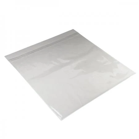 Фото Конверт для виниловых пластинок Audiocore 12 PP Self Sealing Sleeve (1 шт.)