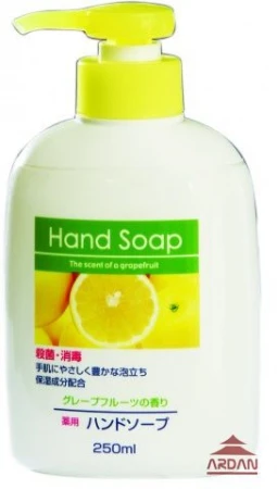 Фото 556239 DAIICHI HAND SOAP Увлажняющее жидкое мыло для рук, объем 250 мл.