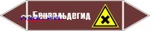 фото Наклейка для маркировки трубопровода “бензальдегид” (пленка