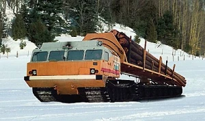 Фото Возьму в аренду болотоход Витязь ДТ-30