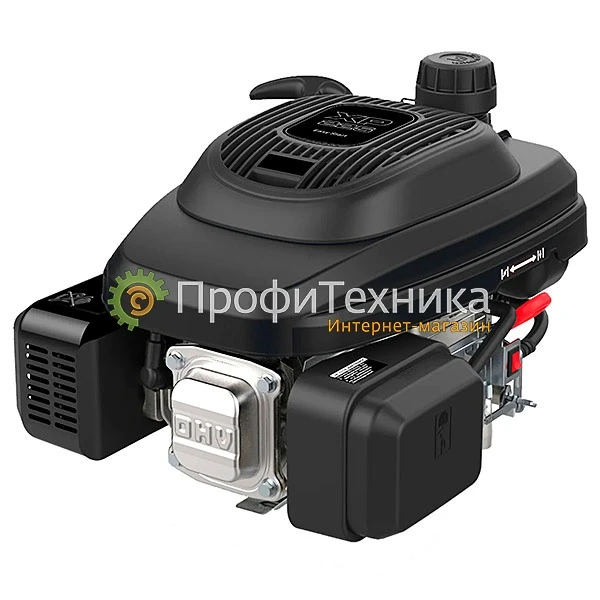 Фото Двигатель бензиновый EVOline XP 225 A