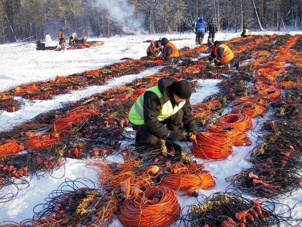 Фото Купим сейсмические кабели