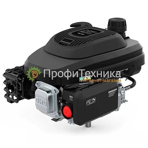 Фото Двигатель бензиновый EVOline XP 200 A