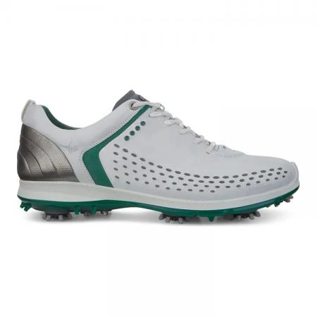 Фото ECCO GOLF BIOM G 2