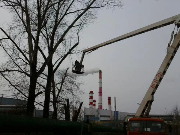 Фото Удаление деревьев