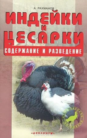 Фото Индейки и цесарки. Содержание и разведение