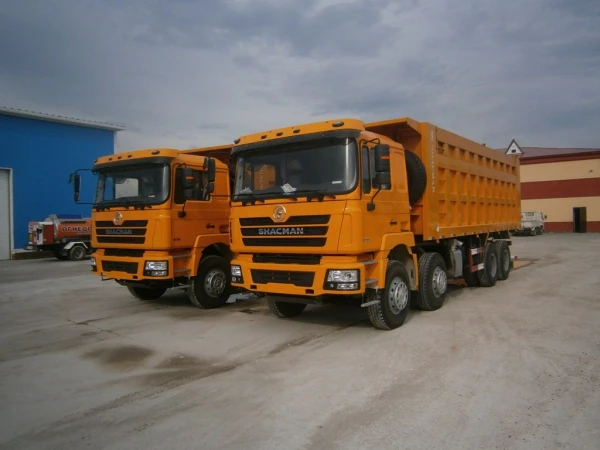 Фото Самосвал SHAANXI 8x4 SX3318DT366