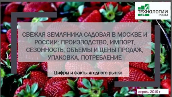 Фото Свежая садовая земляника садовая в России и Москве - 2018-2019 гг. Производство