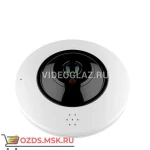 фото AltCam IDMF121IR-WF: Wi-Fi камера