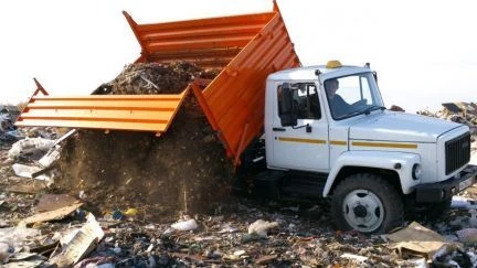 Фото Вывоз веток и хлама из садового участка в Нижнем Новгороде