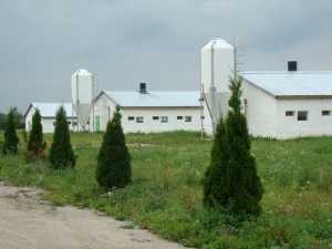 Фото Ищем партнеров для совместной деятельности