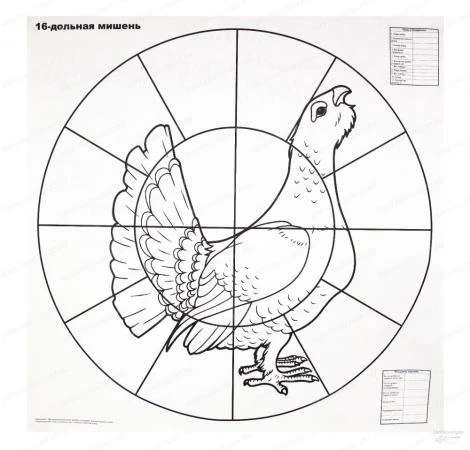 Фото Мишень для пристрелки дробовых ружей 16-дольная