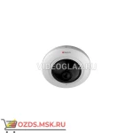 фото HiWatch DS-I351 IP-камера FishEye