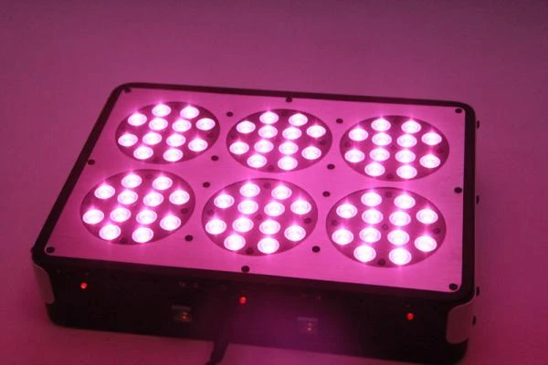 Фото Фитолампа Apollo 6 LED 270W