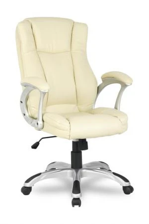 Фото Кресло REALCHAIR COLLEGE H-0631-1/Beige