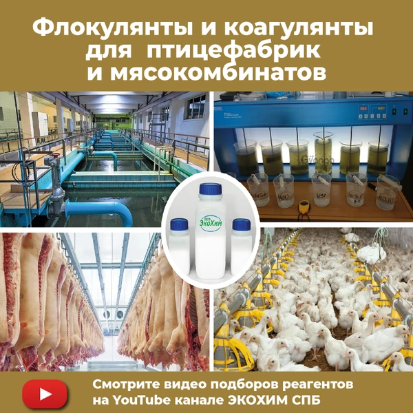 Фото Флокулянты коагулянты для очистных сооружений птицефабрик