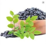 фото Aronia berry extract – профилактика купероза