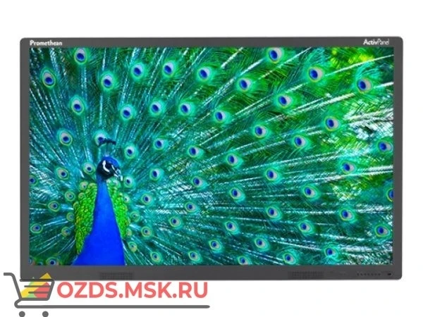 Фото Интерактивный дисплей ActivPanel Touch 65″, программное обеспечение ActivInspire Professional