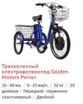 фото Трехколесный электровелосипед Golden Motors Porter