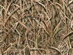 фото Патронташ неопреновый Mossy Oak на 25 патронов Цвет Mossy Oak® Shadow Grass Blades