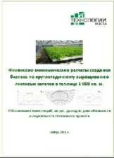 Фото Экономика салатной теплицы. Расчеты необходимых инвестиций, выручки, окупаемости и рентабельности проекта