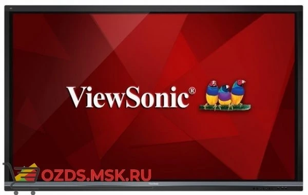 Фото ViewSonic IFP7550: Интерактивная панель