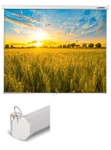 фото Экран настенно-потолочный Lumien Eco Picture 150*150 Matte White