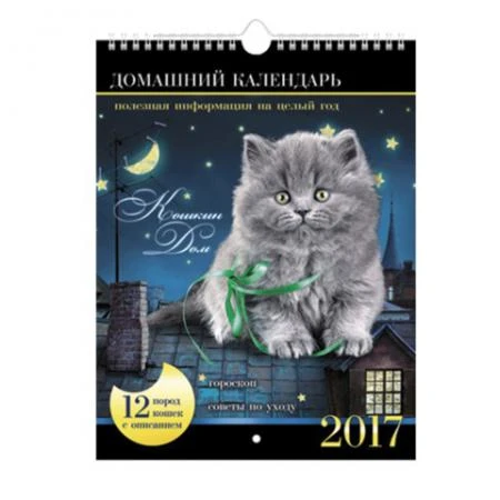 Фото Календарь на гребне с ригелем на 2017 г., 22х30 см, HATBER, 12 л., "Кошкин дом"